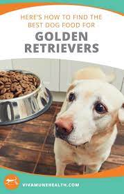 Here S How To Find The Best Dog Food For Golden Retrievers Vivamune Health Best Dog Food Dog Food Recipes Dog Care Tips