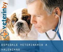 Ospedale Veterinario a Valenzano