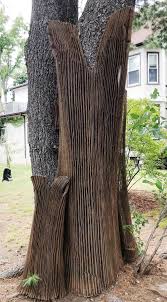 Arboreal Attire” and “Chairful Where You Sit” Extend History around Jason  Russell House in Arlington