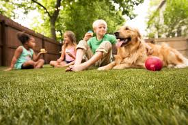 Why do i need artificial grass? Artificial Grass For Dog Owners Polyurethane Backing And Envirofill