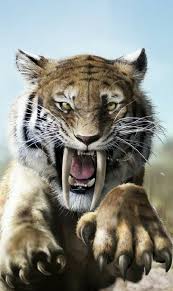Pin De Amy Kippers En B R E E D Tigre Dientes De Sable Fotos De Animales Salvajes Animales Prehistoricos