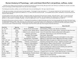 A separate word for 'we' is not needed. Human Anatomy Physiology Latin And Greek Word