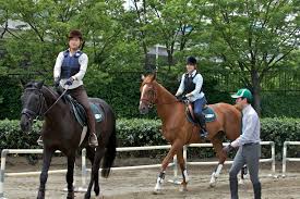 乗馬クラブクレイン千葉 千葉市観光協会公式サイト 千葉市観光ガイド