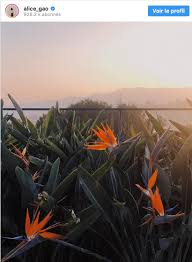 Check spelling or type a new query. 9 Secrets Pour Faire De Belles Photos Instagram 10 Exemples