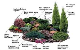 как сделать альпийскую горку на даче своими руками фото Alpijskaya Gorka Svoimi Rukami Shemy I Foto Instrukcij Sovremennyj Landshaftnyj Dizajn Kompozicii Cvetnikov Rasteniya