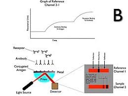 I hope this paper by j. Surface Plasmon Resonance Wikipedia