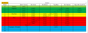 45 Unique Biobizz Schedule