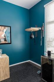 Gorgeous Home Gym Modern Home Gym Seattle By Nibio Llc Houzz Uk