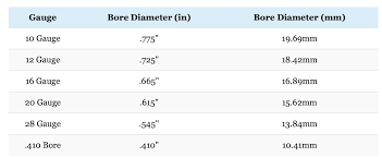 Shotgun shells differ in their gauge and contents. Shotgun Gauges Explained 10 Vs 12 Vs 16 Vs 20 Vs 28 Vs 410 Big Game Hunting Blog
