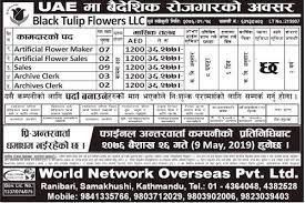 Check couponsvilla.com to save money from blacktulipflowers.com. Job Vacancy In Black Tulip Flowers Llc Job Vacancy For Sales Job Demand From Uae Job Finder In Nepal Nepali Job Finder Portal Finds Your Match