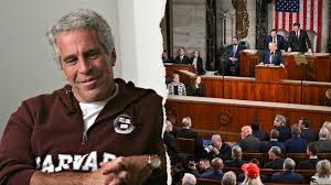 Ro Khanna's State of the Union guest recruited over 20 underage girls for Epstein: 'Like Heidi Fleiss'
