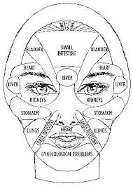 Face Chart Reflexology Health Acupressure