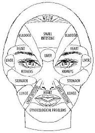 face chart reflexology health acupressure