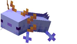 You can breed axolotls in minecraft by feeding them a bucket of tropical fish. Axolotl Minecraft Wiki Fandom