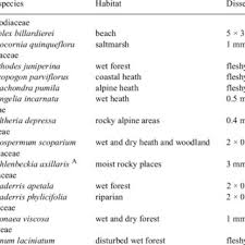 Image result for Asterochaete angustissima
