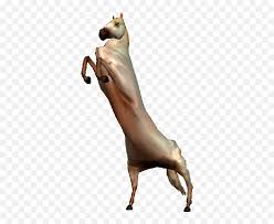 Choose from 1000+ gif graphic resources and download in the form of png, eps, ai or psd. Dancing Dog Meme Gif Transparent Pics Animal Figure Png Free Transparent Png Images Pngaaa Com