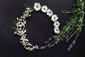 Get it as soon as mon, feb 1. Free Photo Round Frame Made Of Small White Flowers Over Black Backdrop