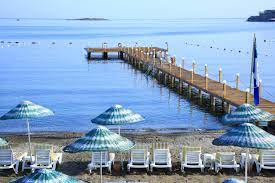 Club cactus fleur beach, yalıkavak palmarina'ya 3 km, bodrum havalimanı'na ise 45 km mesafede konumlanıyor. Cactus Fleur Beach Yalikavak Updated 2021 Prices