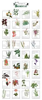 Paleta Vegetal Jardinagem E Paisagismo Jardinagem Urbana Jardinagem