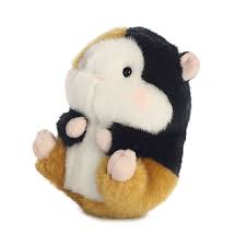 Pin On Guinea Pig