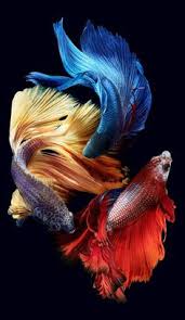 Gambar dekoratif merupakan gambar dengan corak dekor atau hias. 57 Ide Seni Dekorasi Seni Dekorasi Tembaga