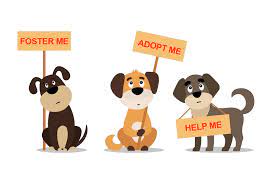 There's an exhaustive list of past and present employees! Adoption Events Recycled Love Dog Rescue Saving The Lives Of Dogs In Southern California Including Los Angeles Orange County Inland Empire Riverside And San Diego