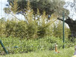 Pose grillage rigide sur muret leroy merlin. Comment Choisir Son Grillage Leroy Merlin