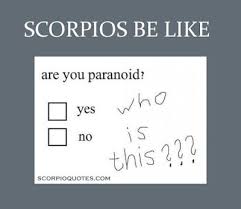13 Scorpios Be Like Meme Scorpio Meme Scorpio Zodiac Facts Scorpio Funny
