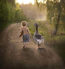 This Russian Photographer Captures Stunning Photos Of Kids And Their Pets Funny Animals Animals Animals Beautiful