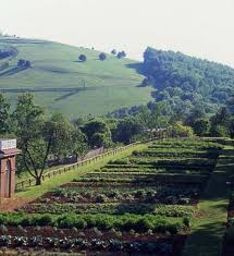 Thomas Jefferson Garden Farm Gardens Dream Garden Vegetable Garden Planner