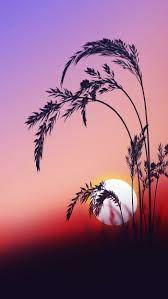Sunset Awesome Sunrise Wallpaper Photography Wallpaper Sunset Wallpaper