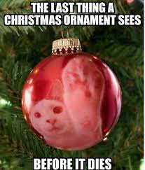 The Day You Ve All Been Waiting For Has Arrived Enjoy These 34 Purr Fect Caturday Memes Christmas Humor Christmas Memes Christmas Cats