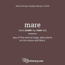 Word Of The Day Mare Dictionary Com Words Word Of The Day Rare Words