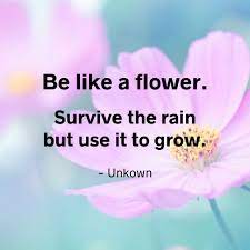 Be Like A Flower Survive The Rain But Use It To Grow Unknown Love Your Life Survival Rain