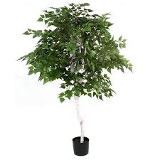 70.87'' h x 8.66'' l x 8.66'' d Artificial Uv Birch Tree For Office House Decor Indoor Outdoor Green Color Tree 1 2m Buy Artificial Silver Birch Tree Plant Cheap Artificial Outdoor Anti Uv Silk Plastic Tree Home Decor Silk Flower Tree