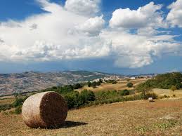 Image result for molise