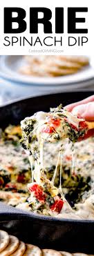 Instructions · place a piece of saran wrap in a large bowl. Easy Bruschetta Cheese Ball With Video Carlsbad Cravings