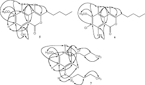 Image result for Tessmannia burttii