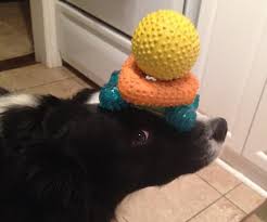 Fill out the form and someone from the. Tricks