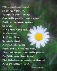 Quotes can offer you a moment of reflection and contemplation. 26 Wildflower Poems Ideas Poems Words Of Wisdom Wise Words