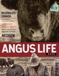 Angus Life Magazine 2020 By Coyote Publishing Ltd Issuu