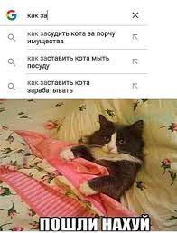 pin ot polzovatelya olga bondarenko na doske fun rabochie prikoly smeshnye memy memy