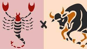 رجل العقرب والمرأة الثور في الحب والصداقة home decor decals taurus decor
