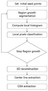 a schematic flow chart for the solution algorithm