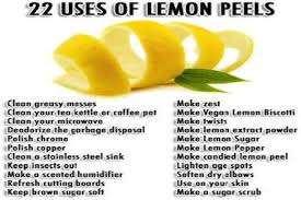 We did not find results for: Dont Throw Away Those Lemon Peels Blog Nurserylive Com Gardening In India