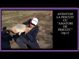 Toate Panzele Sus Episodul 11 La Capătul Lumii Hd Recode Videoclipurile Mele Character Fictional Characters și John Wick