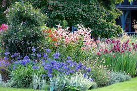 We did not find results for: Best Cottage Garden Plants Our Top Flowers For Romantic Borders Gardeningetc
