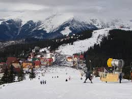 We did not find results for: Cum S A Ajuns Ca Doar Jumatate Din Zona Montana Ranca Sa Fie Statiune Turistica Buna Ziua Iasi Bzi Ro