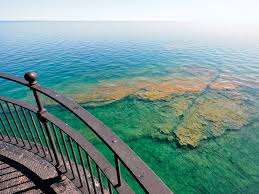 Image result for Blue Rock Green 1934 Fleet