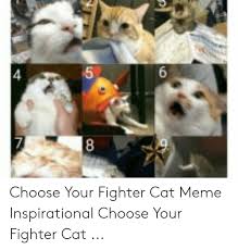 Fighter fighting style height weight; 25 Best Memes About Choose Your Fighter Cat Choose Your Fighter Cat Memes